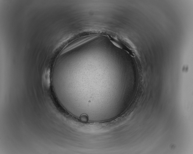 X0000096940020200802221330