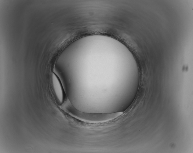 X0000096940021200802221330