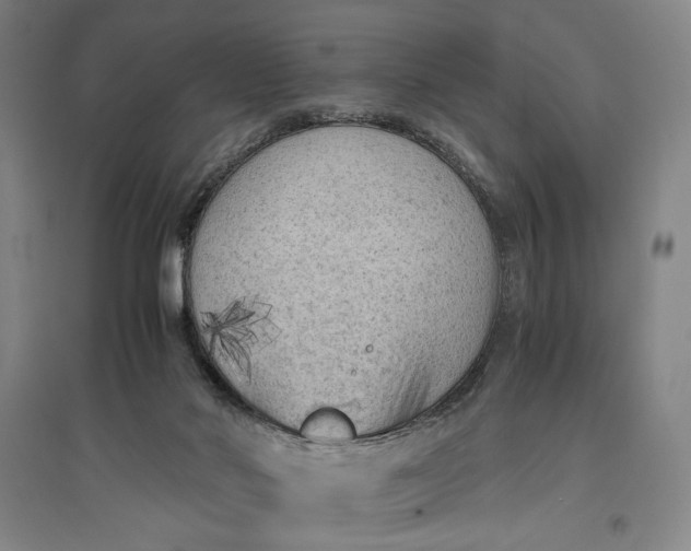 X0000096940022200802221330