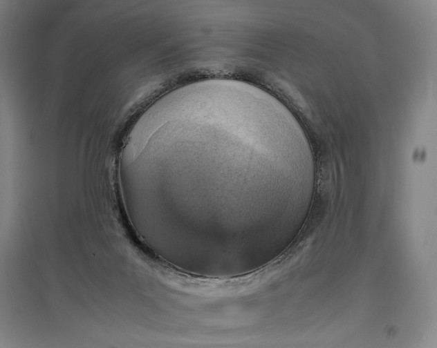 X0000096940023200802221330