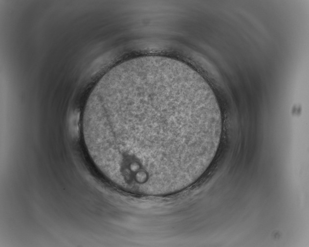 X0000096940024200802221330