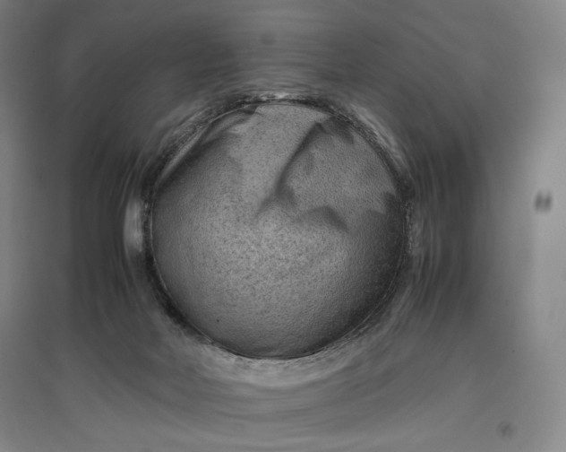 X0000096940026200802221330