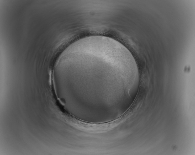 X0000096940027200802221330