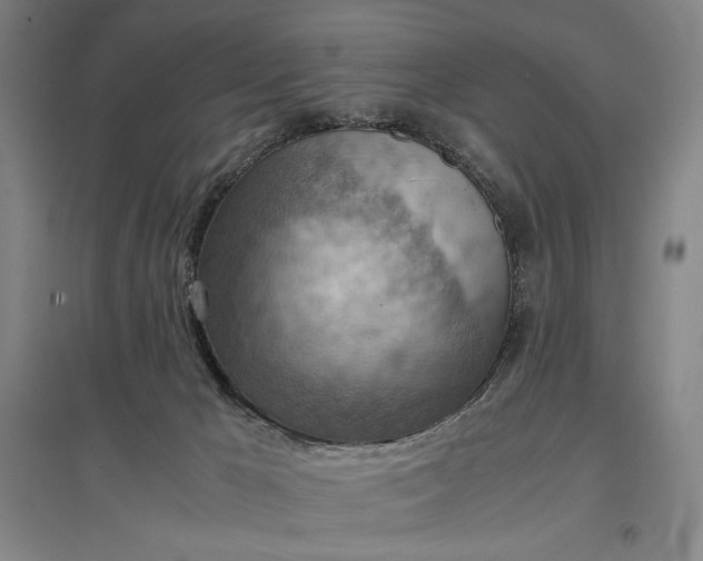 X0000096940029200802221330