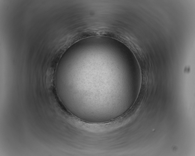 X0000096940030200802221330