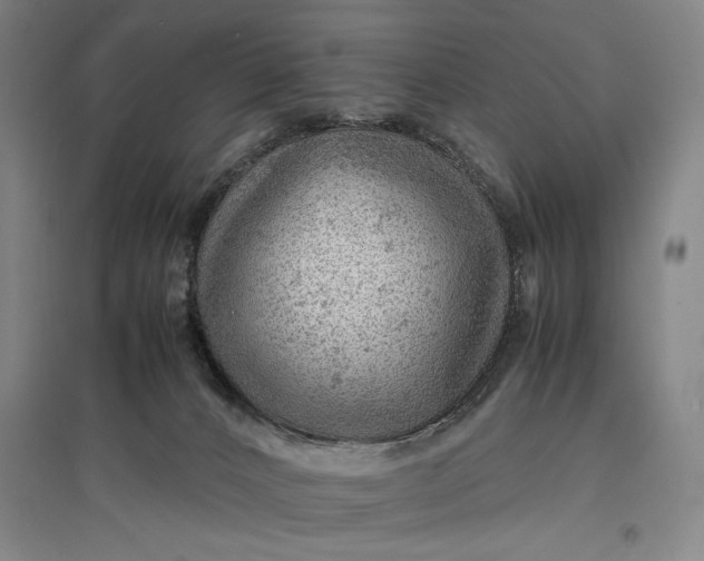 X0000096940032200802221330