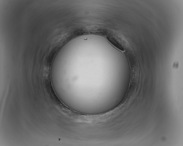 X0000096940033200802221330