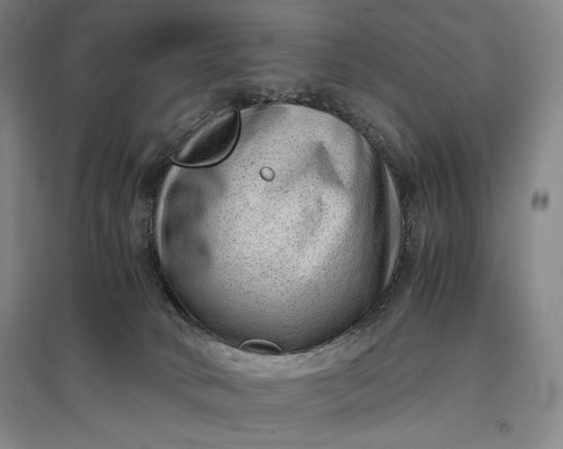 X0000096940034200802221330