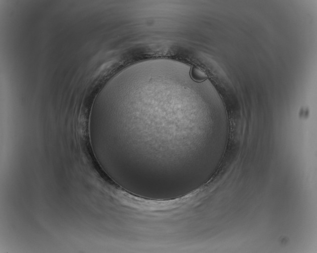 X0000096940035200802221330