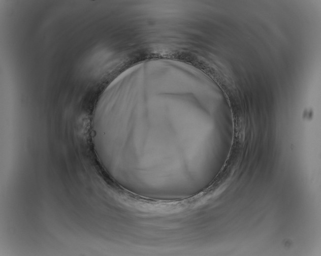 X0000096940036200802221330