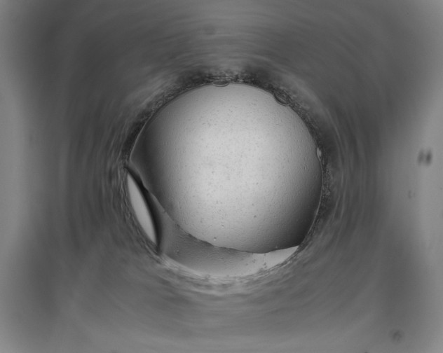 X0000096940037200802221330