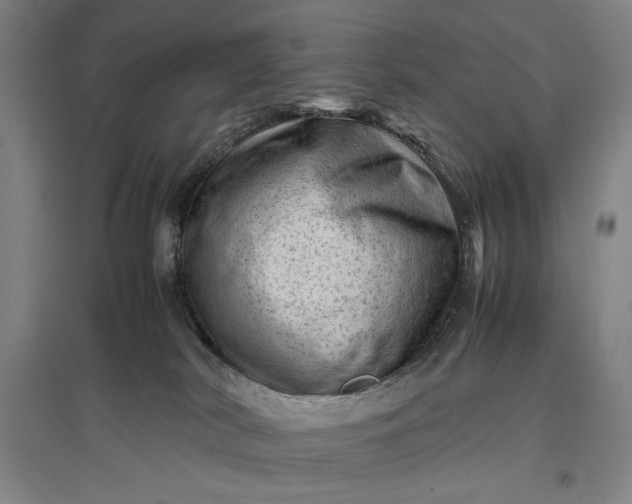 X0000096940038200802221330