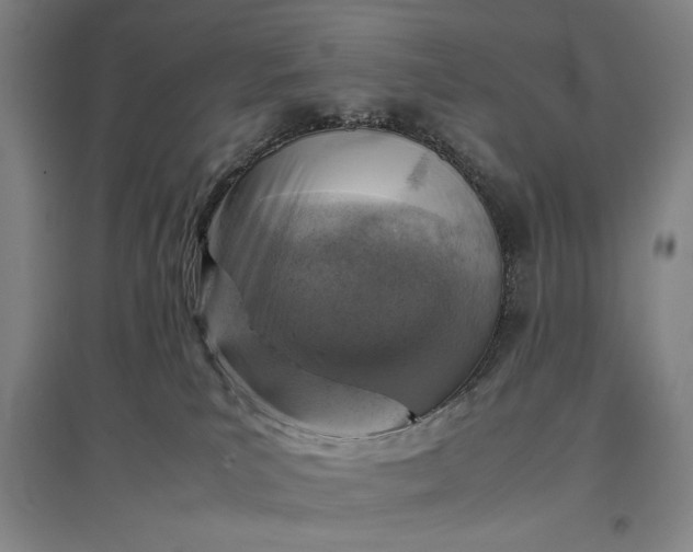 X0000096940039200802221330