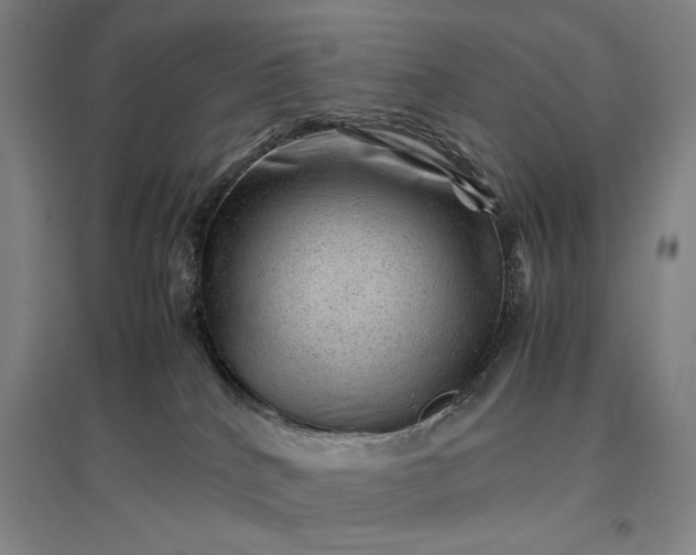 X0000096940040200802221330