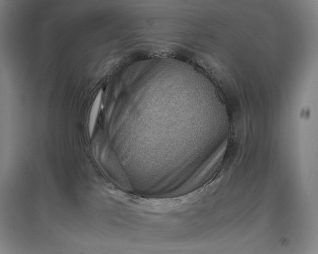 X0000096940041200802221330