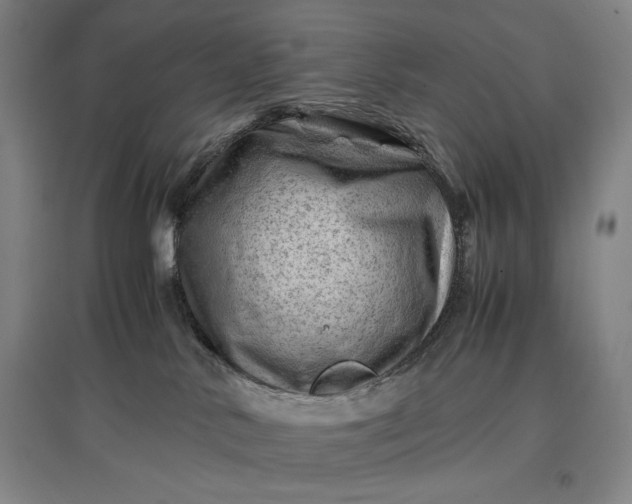 X0000096940042200802221330