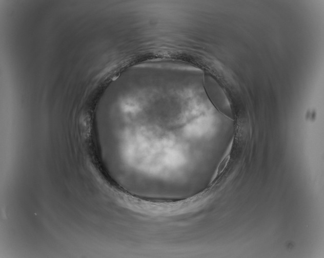 X0000096940043200802221330