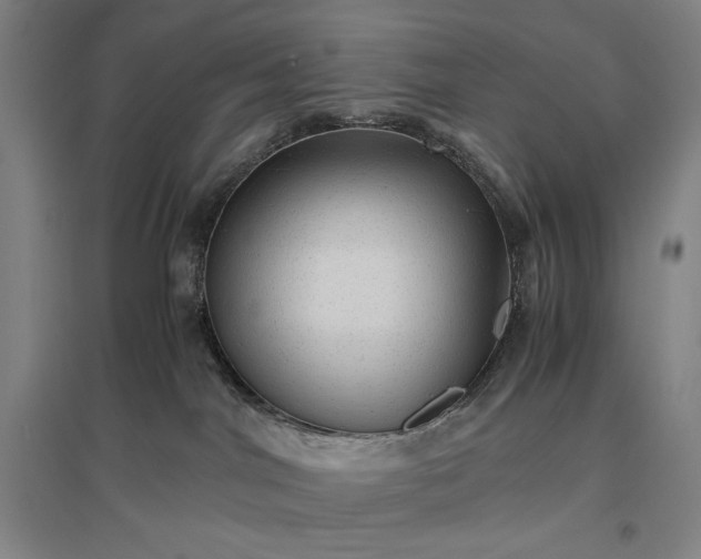 X0000096940044200802221330