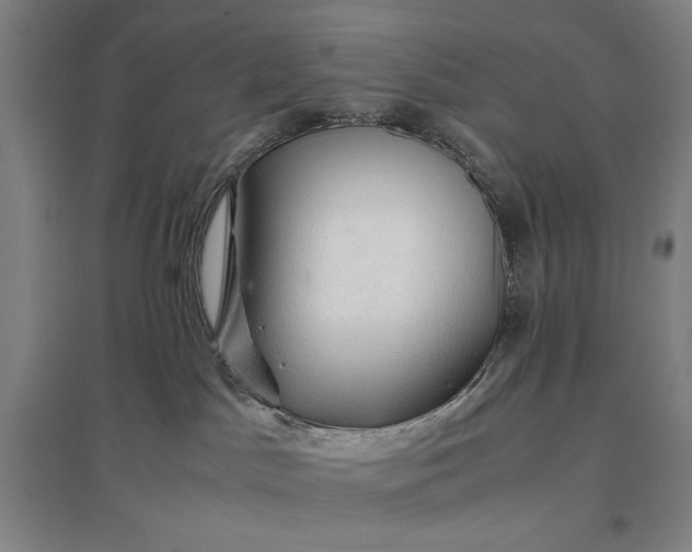 X0000096940045200802221330