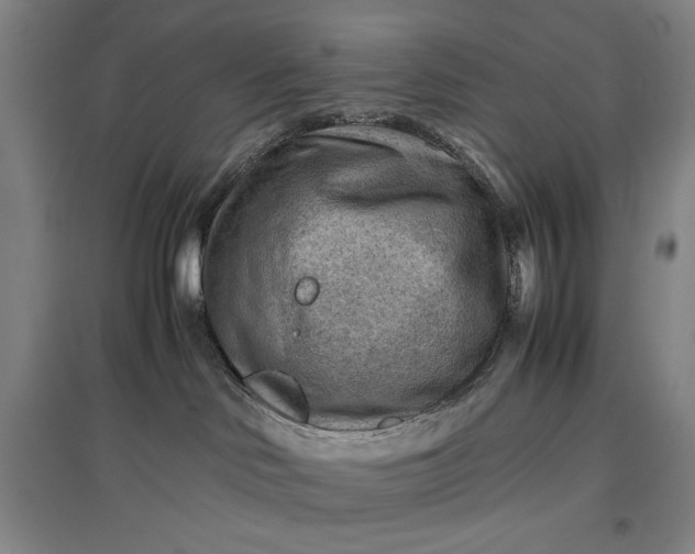 X0000096940046200802221330