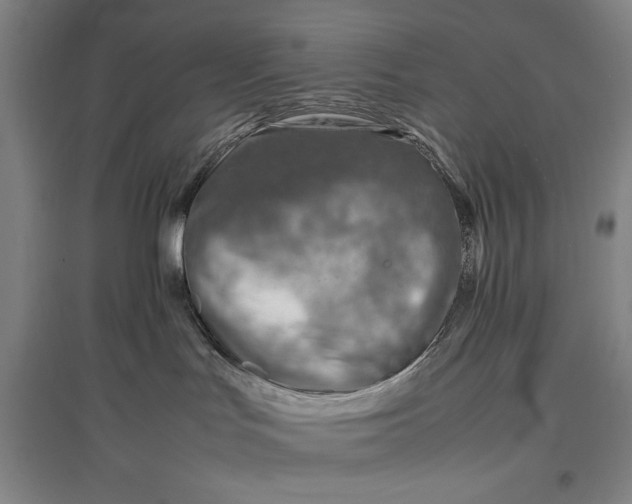 X0000096940047200802221330