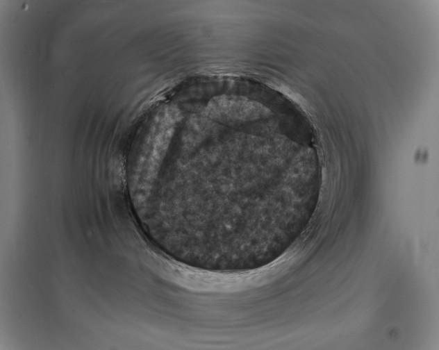 X0000096940048200802221330