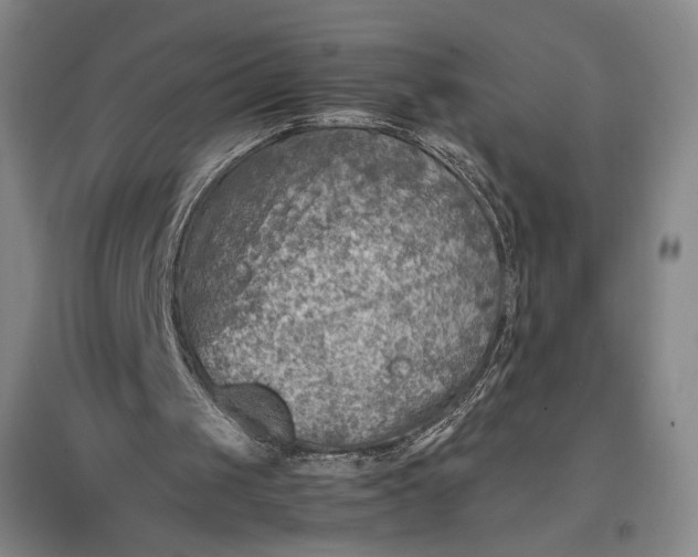 X0000096940049200802221329