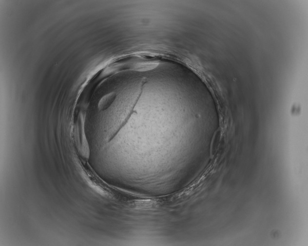 X0000096940050200802221329