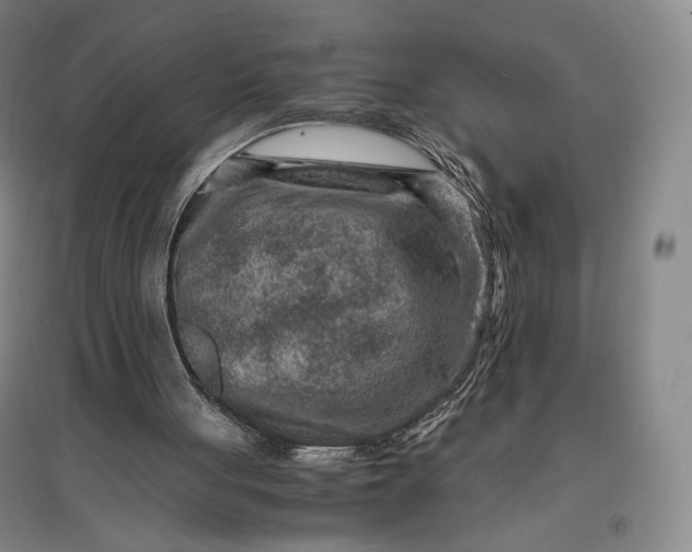 X0000096940051200802221329