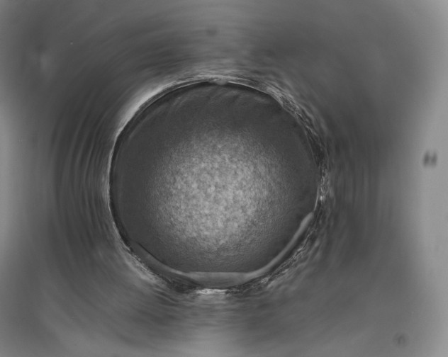 X0000096940052200802221329