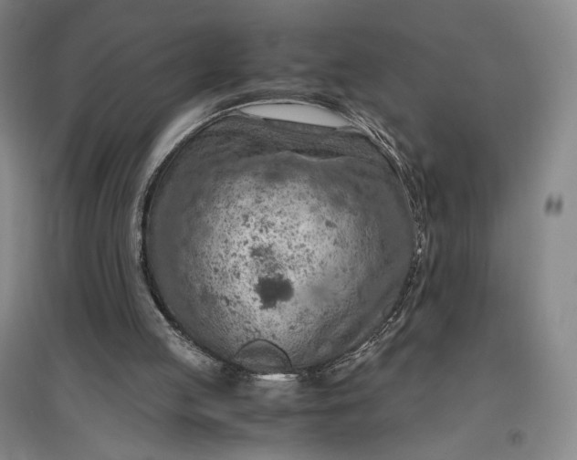 X0000096940053200802221329