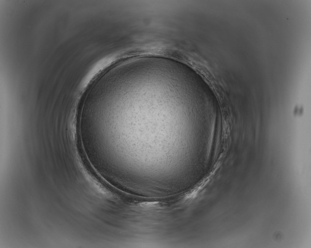 X0000096940054200802221329