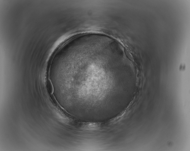 X0000096940056200802221329