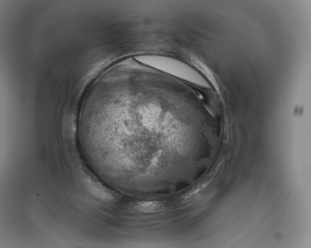 X0000096940059200802221329