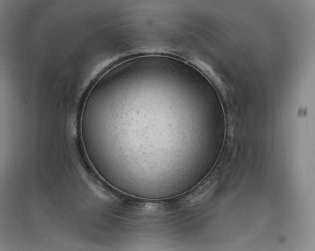 X0000096940060200802221329