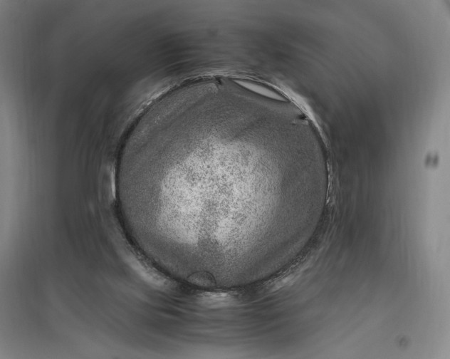 X0000096940061200802221329