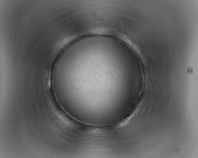 X0000096940062200802221329