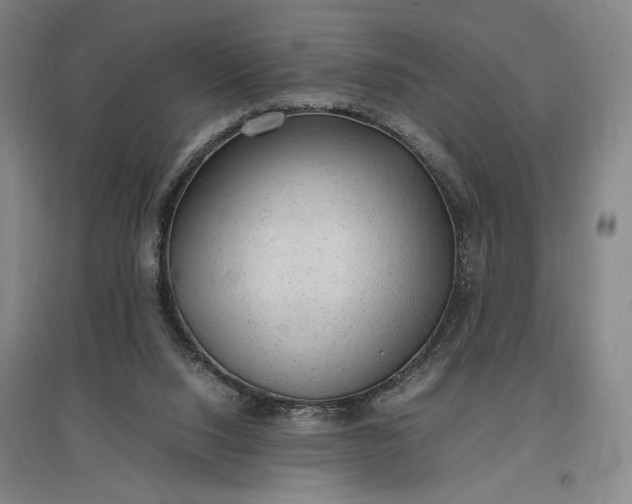 X0000096940064200802221329