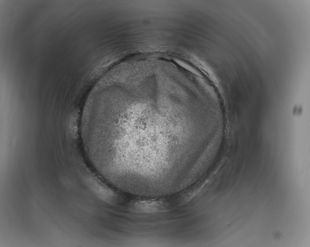 X0000096940065200802221329