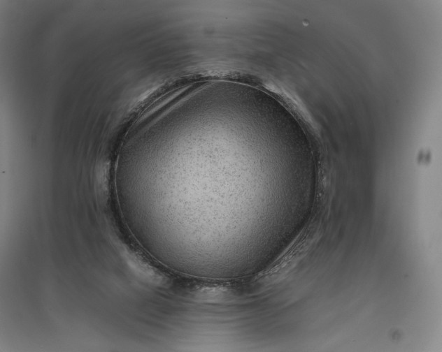 X0000096940066200802221329