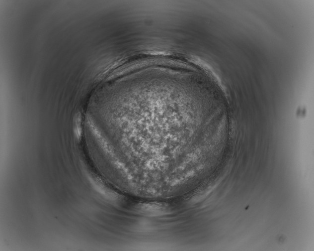 X0000096940069200802221329