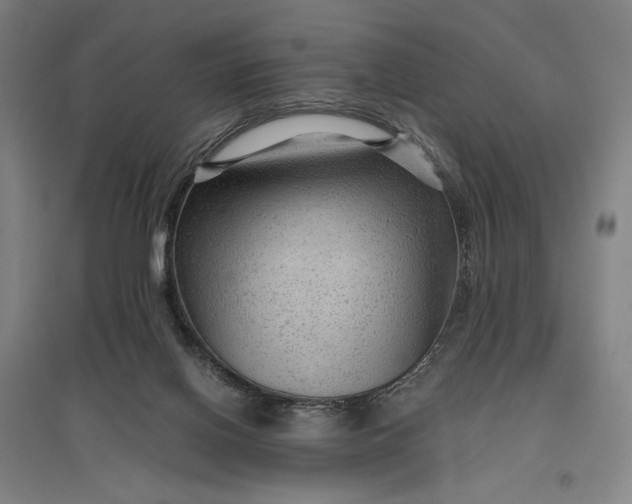 X0000096940070200802221329