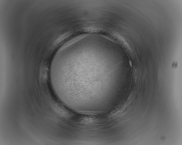 X0000096940071200802221329