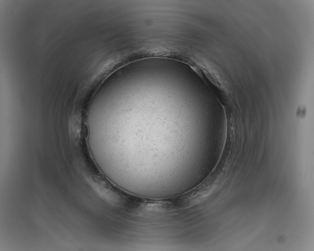 X0000096940072200802221329