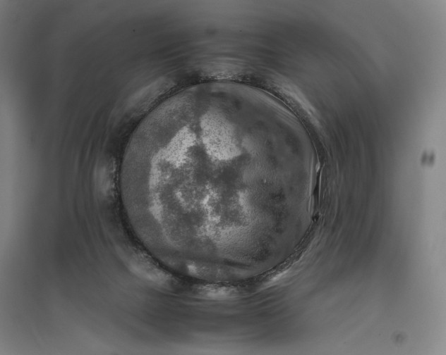 X0000096940073200802221329