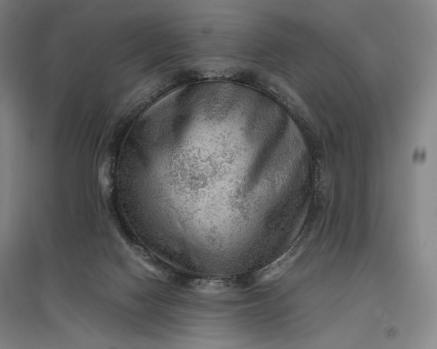 X0000096940074200802221329