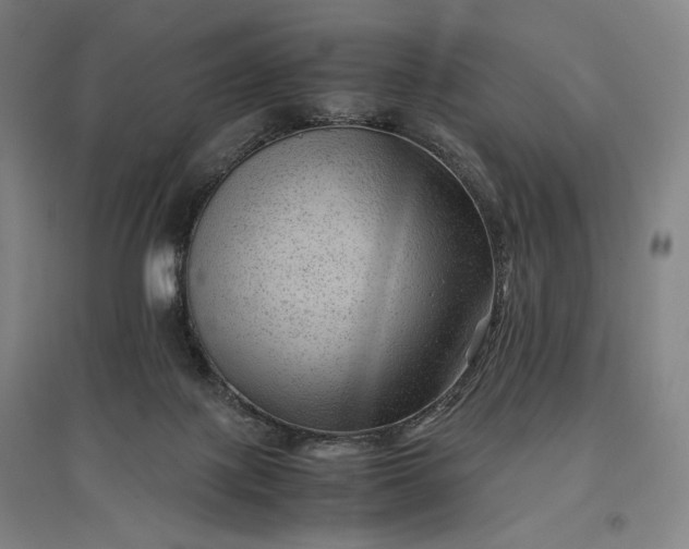 X0000096940075200802221329