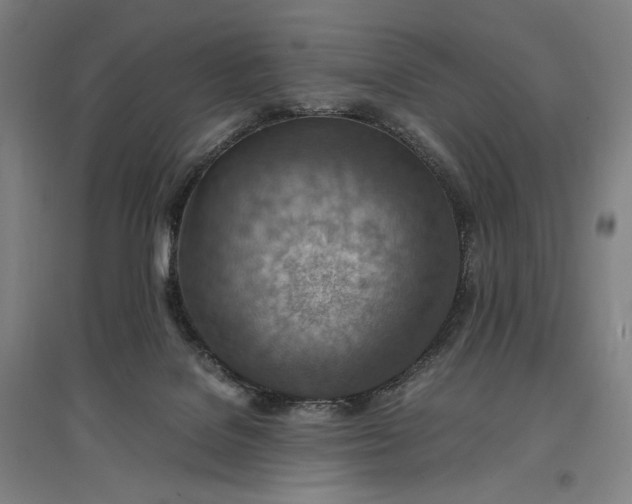 X0000096940076200802221329