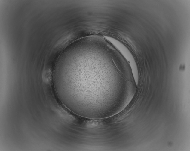 X0000096940077200802221329