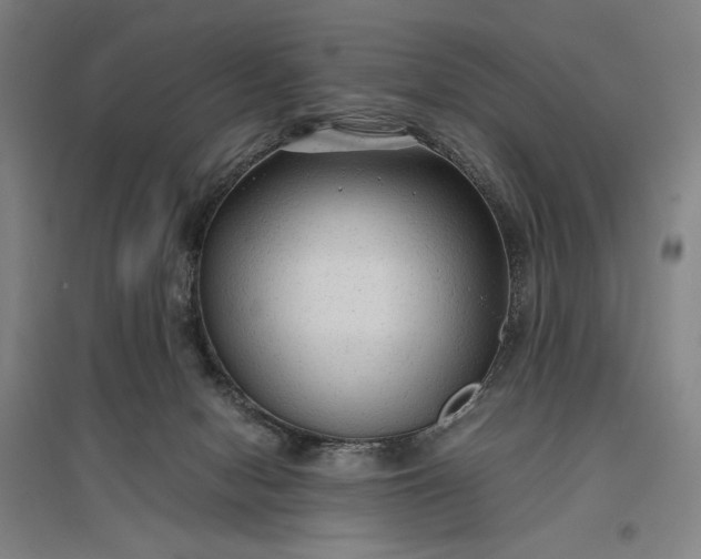 X0000096940078200802221329